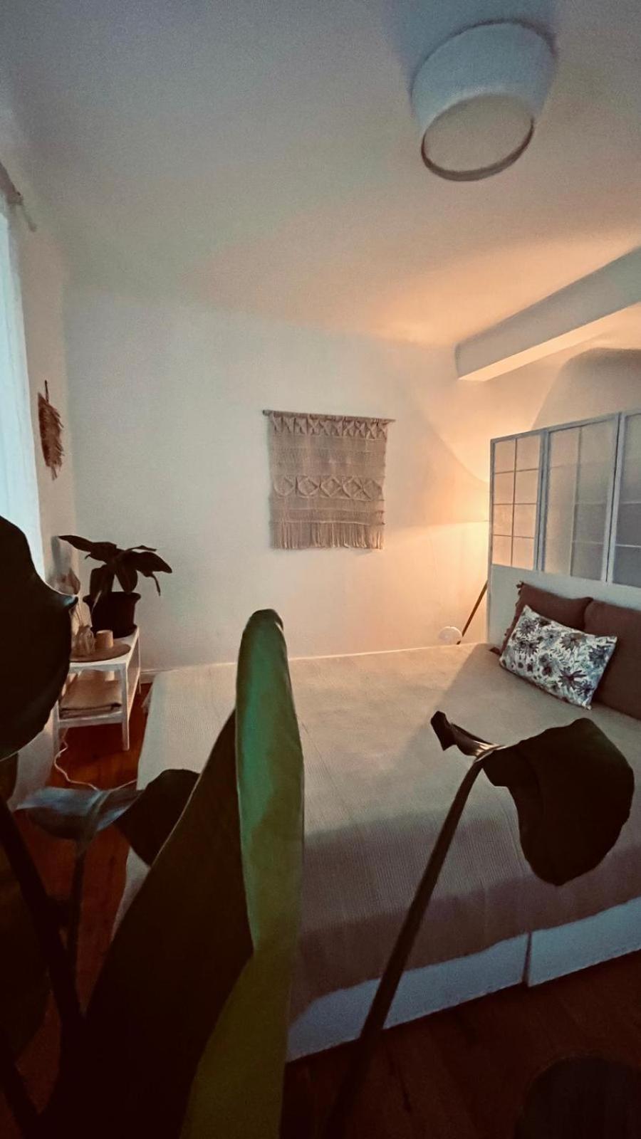 Apartment Am Schloss - Charme Saarbrücken Kültér fotó